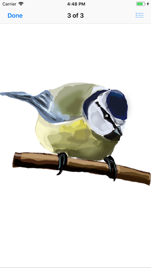 Bitty Bird Stickers(圖5)-速報App