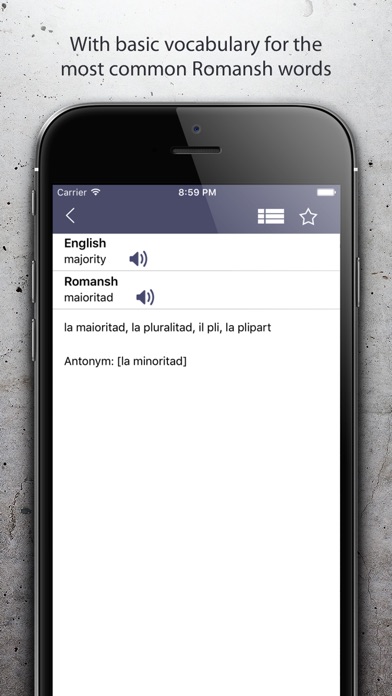 Dictionary Romansh English screenshot 3