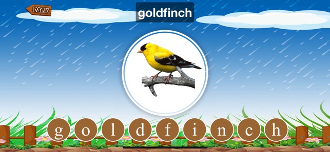 Learn Sound : Animals,Birds(圖5)-速報App