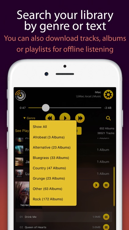 MusicStreamerLite