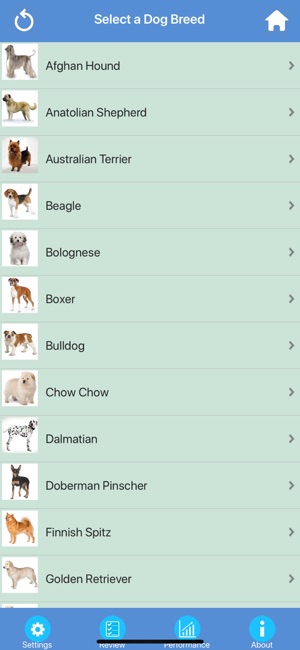 Dog Breeds Quizzes(圖6)-速報App