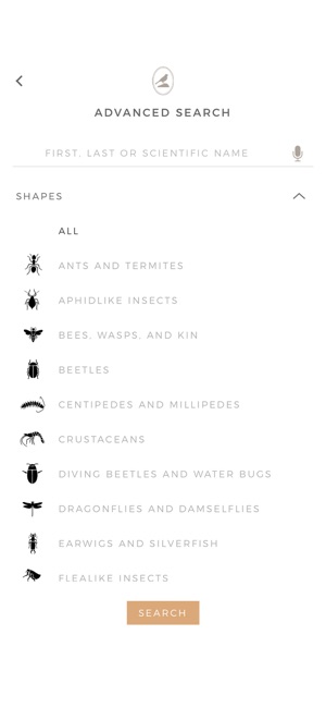 Fieldstone Guide: Insects(圖6)-速報App