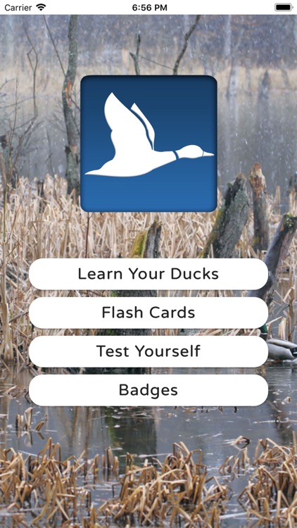 Duck ID App