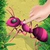 Insect Smasher for Kids