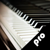 钢琴速成—视频教程