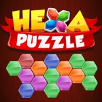 Hexa Puzzle Block Hexagon