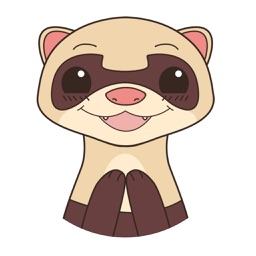 YouFerret - cute ferret animal