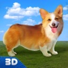 Corgi Stray Dog Simulator