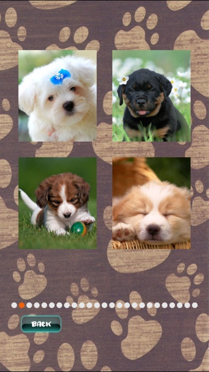 Cute Puppies Puzzle screenshot-3