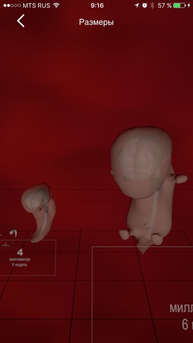 Я беременна 3D screenshot 4