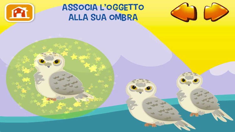 Dotto Forme e colori 60993