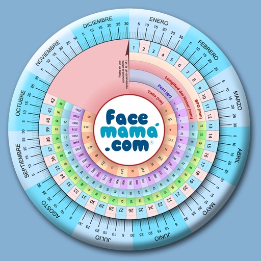 Pregnancy Gestogram