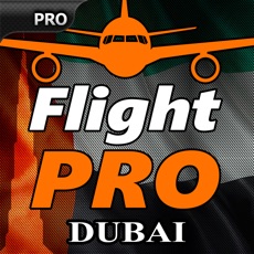 Activities of Pro Flight Simulator Dubai