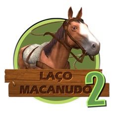 Activities of Laço Macanudo 2
