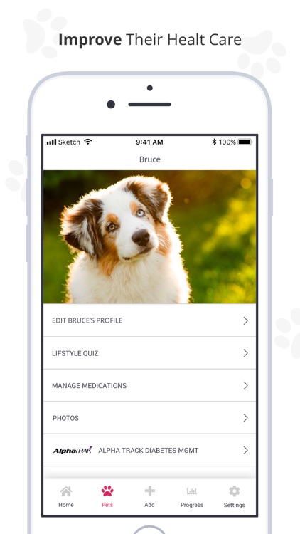 PetDialog