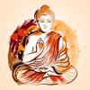 Prashant Yadav - Buddha Box アートワーク