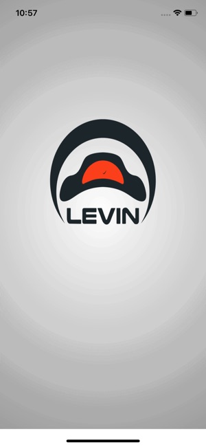 LEVIN-Your Cognitive Co-Pilot