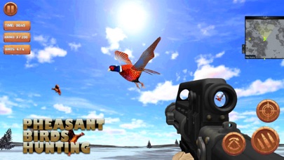 Pheasant Bird Hunting 18 screenshot 2
