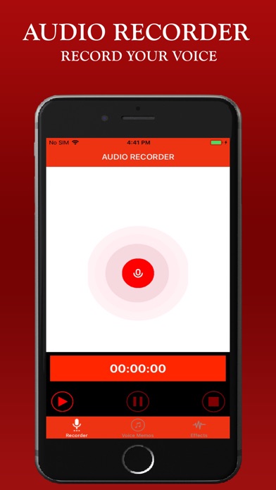 Voice Recorder - Audio Effects screenshot 2
