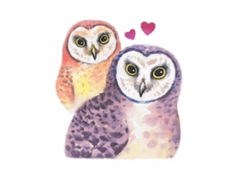 Watercolor Talking Owls Sticker