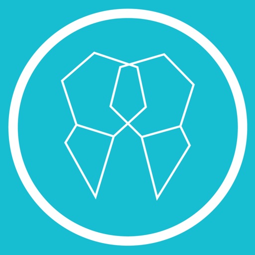 Dentiflow