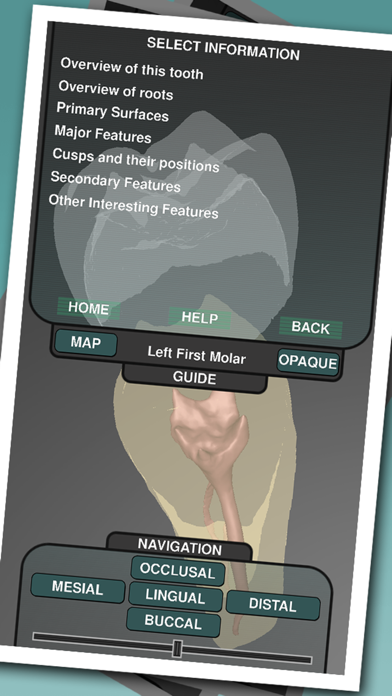 How to cancel & delete Real Tooth Morphology from iphone & ipad 2