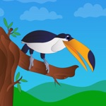 Friendly Birds