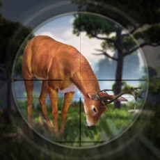 Activities of Jungle Safari Deer Hunting Edition