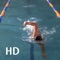 Icon Swim Coach Plus HD
