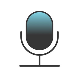 Voice Recorder ⁺ Recording icon