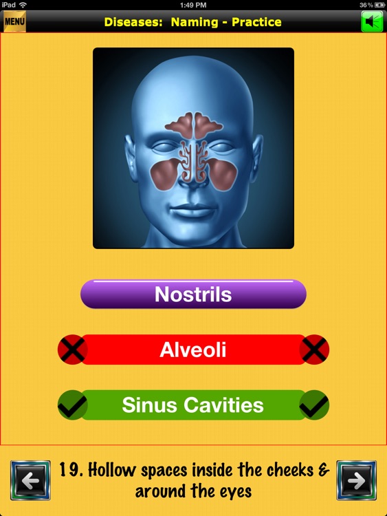 easyLearn Diseases: Life Sciences HD