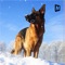 Become a trustworthy shepherd dog and never let your master down in arctic or snow dog games with the blend of dog fighting games