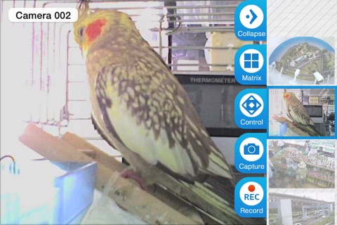 Viewer for D-link IP cameras screenshot 3