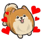 Pomoji - Pomeranian Emoji  Stickers