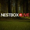 Nest Box Live