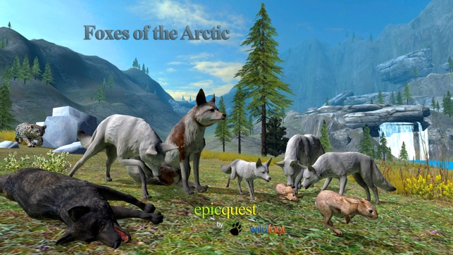 Foxes of the Arctic