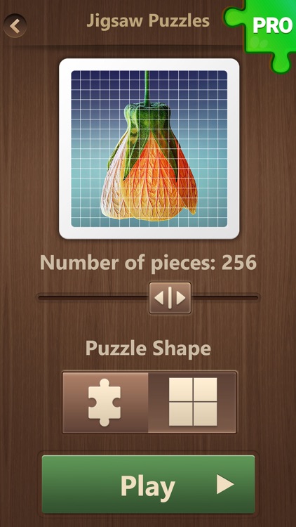 Jigsaw Puzzles PRO: Amazing Brain Training Jigsaws screenshot-4