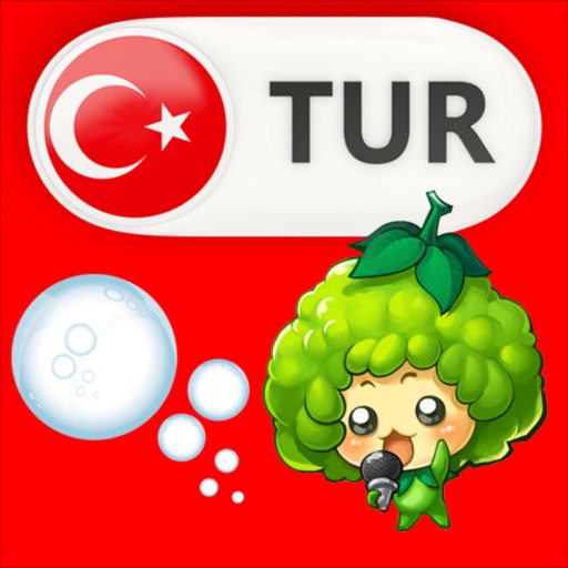 Game to learn Turkish Voca