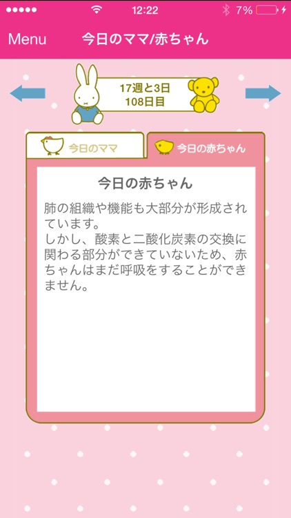ミッフィーの”マタニティBOOK” screenshot-3