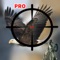 Sniper Hunter Safari Jungle Birds Pro
