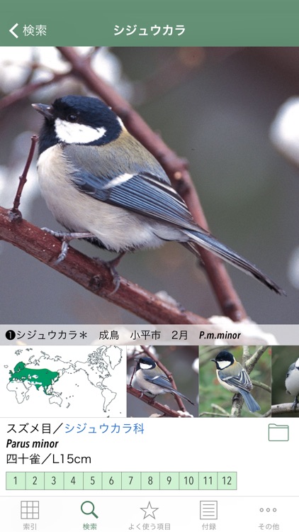 日本の野鳥(山溪ハンディ図鑑)