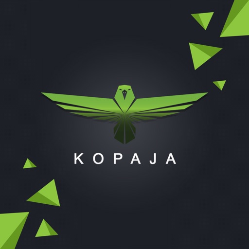 Kopaja Automotive