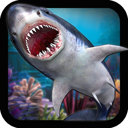 Shark Simulator 3D Icon