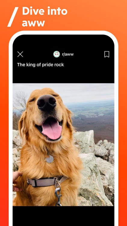 Reddit screenshot-3