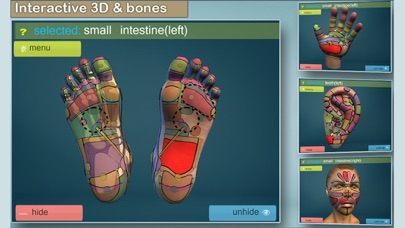 Total Reflexology-3D Screenshot 5