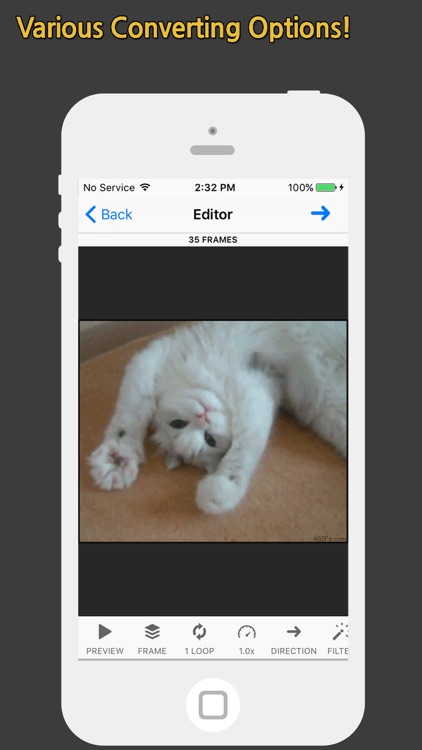 GIF Toaster Pro- Photos, Burst, Video to GIF Maker