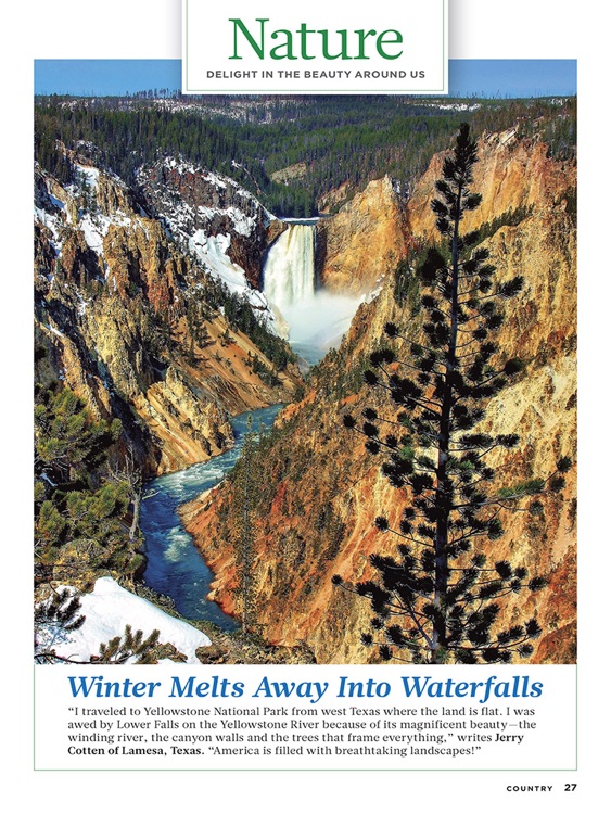 Country Magazine screenshot-3