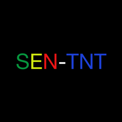 sentnt, Senegal tv