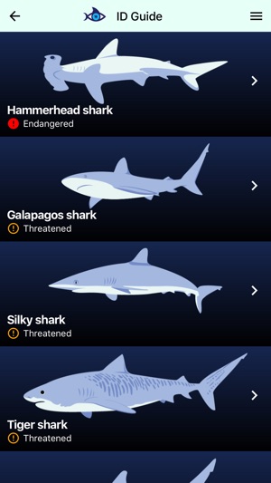 Shark Count Galapagos(圖4)-速報App