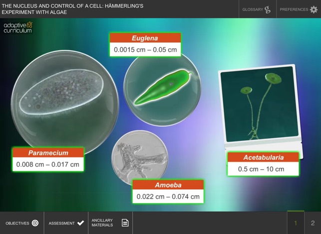 Nucleus and Control of a Cell(圖2)-速報App